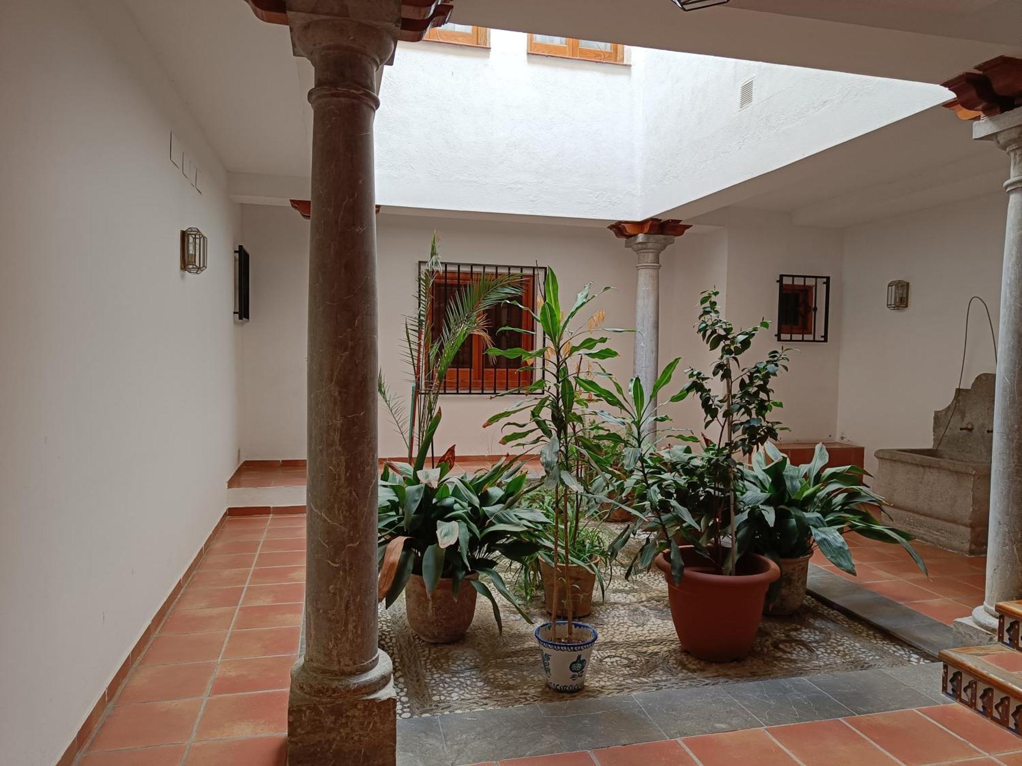 Apartamento Concepcion Granada Centro المظهر الخارجي الصورة